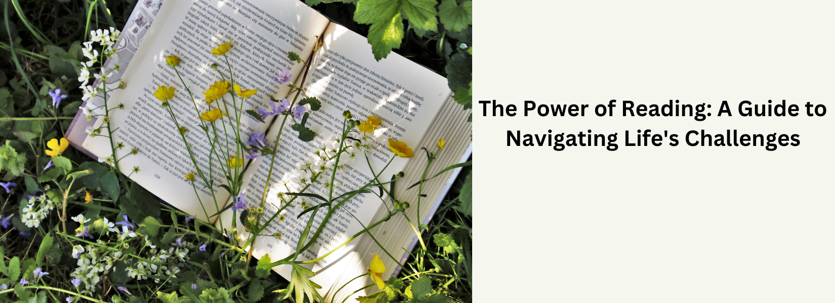 The Power of Reading: A Guide to Navigating Life's Challenges