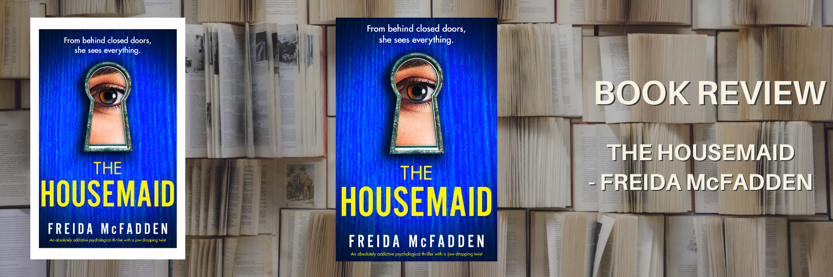 BOOK REVIEW: THE HOUSEMAID – FREIDA McFADDEN