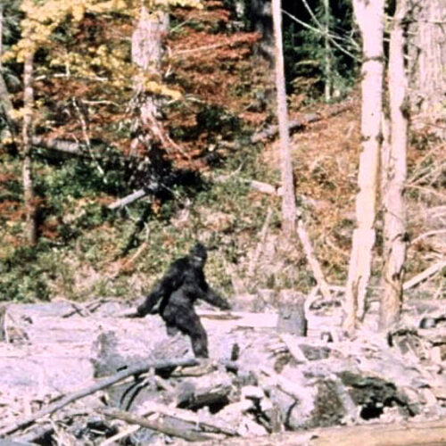 Bigfoot, Culture, and the Fear of the Unknown.