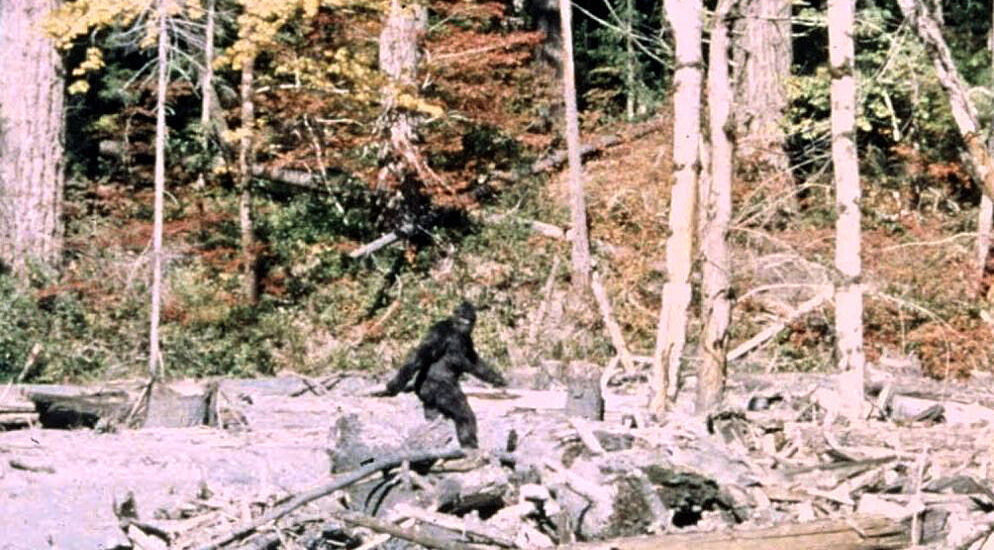 Bigfoot, Culture, and the Fear of the Unknown.