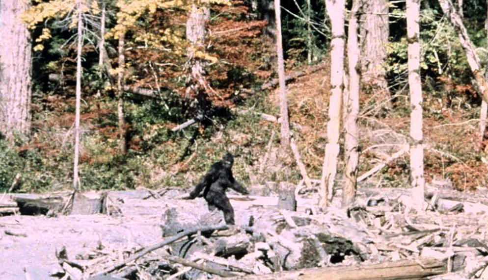 Bigfoot, Culture, and the Fear of the Unknown.