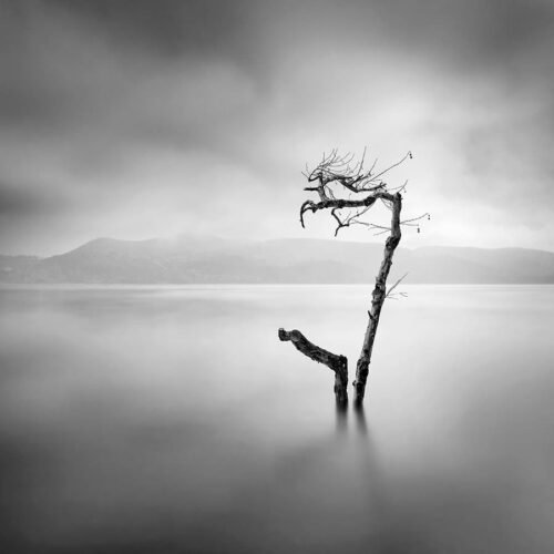 what are the consequences of silence?