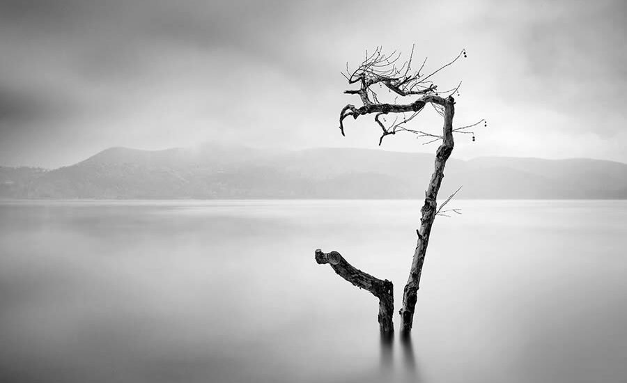 what are the consequences of silence?